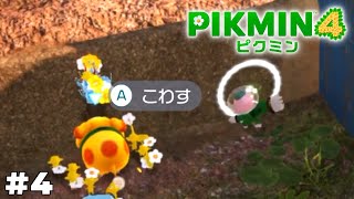 あ、自分こっち殴ります！【ピクミン4】#4
