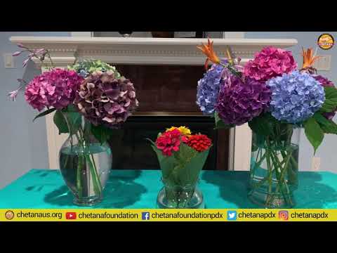 Chetana Foundation - Sharing Love through Flowers by Anjali Ramineni