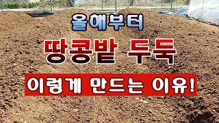 [텃밭농부 2,201]  땅콩밭의 두둑을 올해부터 이렇게 만드는 이유! #땅콩재배