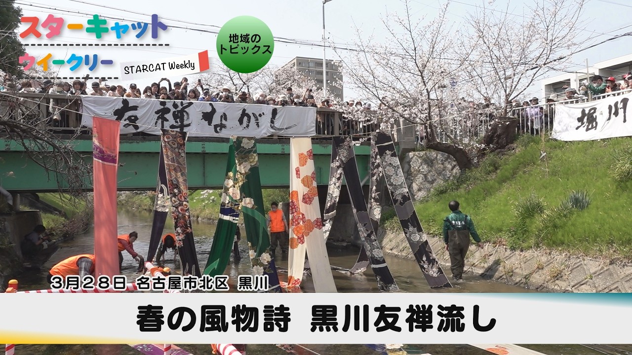 春の風物詩 黒川友禅流し【スターキャットウイークリー】2026年4月2日放送