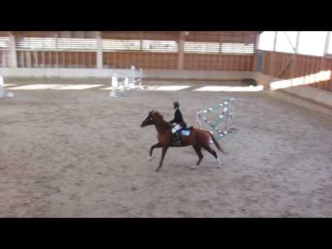 CSO Belleray 061116 alexis pompom