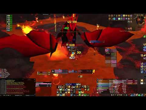 Literally unkillable paladin solos 10 man OS 2 drake