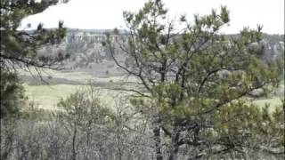 Landmark Series - Greenland Ranch