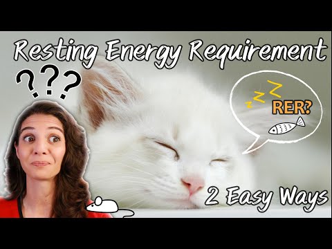 How much to feed your pet: A Step-by-Step Guide to RER