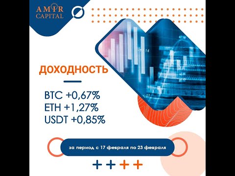 Доходность инвестора Amir Capital за период с 17 февраля по 23 февраля