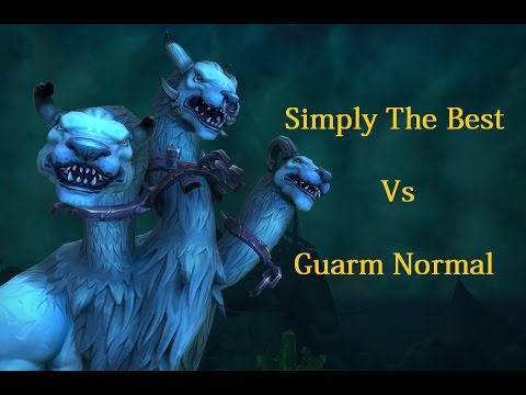 Simply The Best Vs Guarm Normal (Trial of Valor) - Retribution Paladin PoV