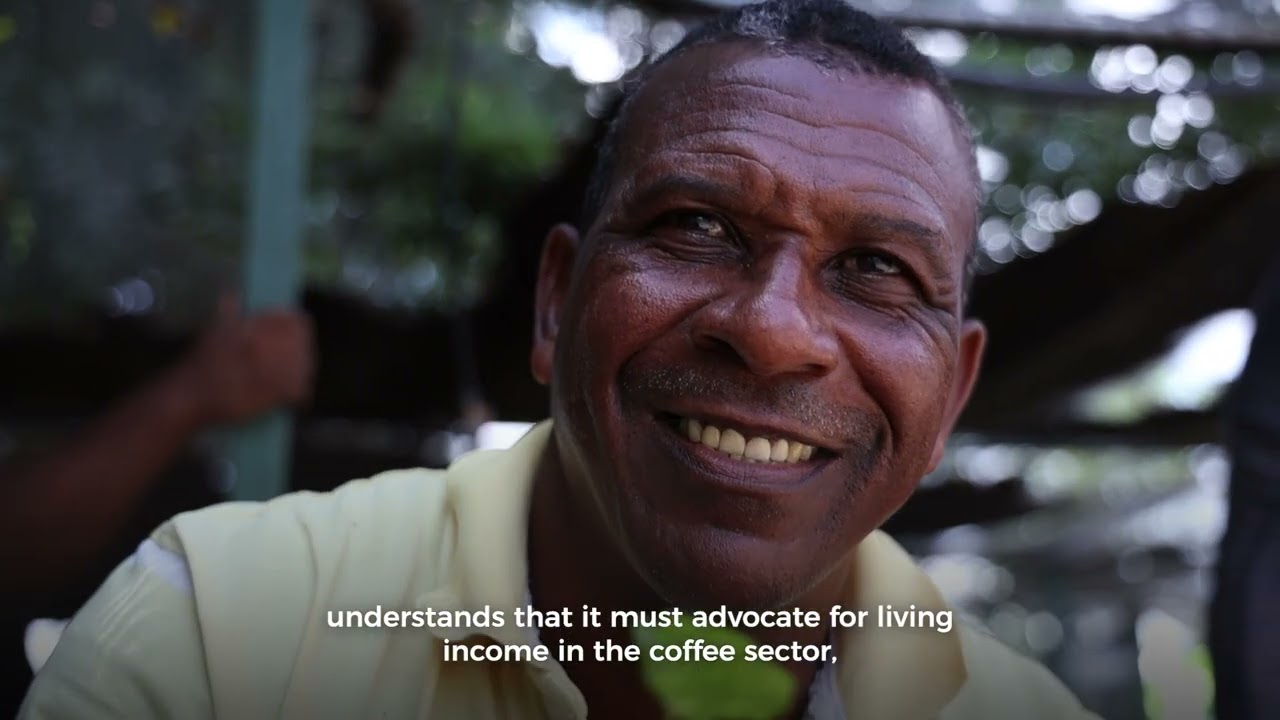 Proyecto Ingresos Dignos | Sector cafetalero Perú y Honduras | ICO 2026