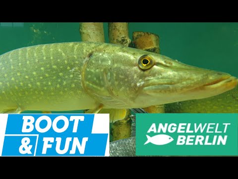 BOOT UND FUN / ANGELWELT 2021 | Was habe ich gekauft???