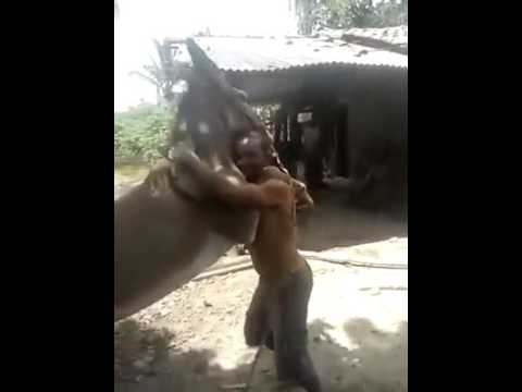 Eudes Rosa da sua(9)