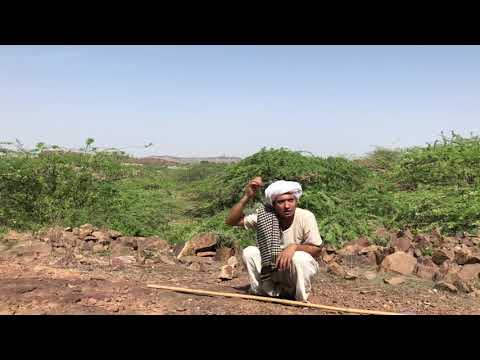 Praful Borana Marwari audition