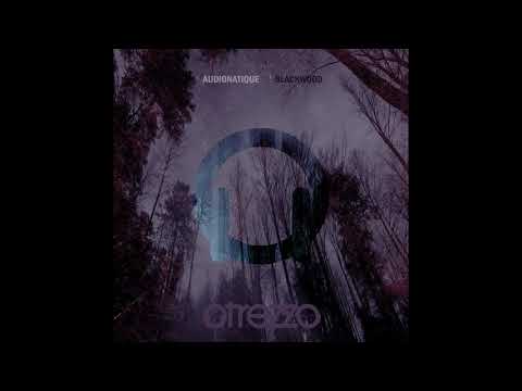 Audionatique - BlackWood (Original Mix)