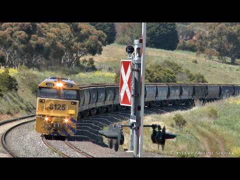 7737V Pacific National Grain Train, VHAF Hoppers (22/10/2019) - PoathTV Australian Railways
