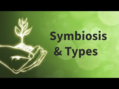 Symbiosis Is Simplified | Symbiosis In Simplified Words | curious geek