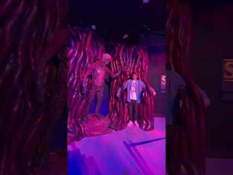Stranger Things Experience in Toronto