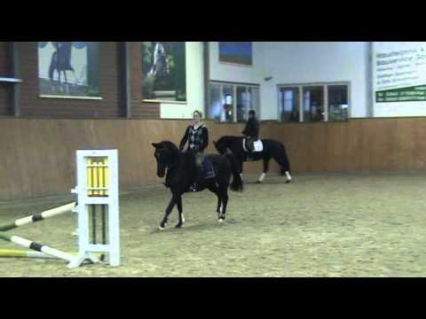 Offshore Energy R-Boss Reitpony-Wallach * 2006