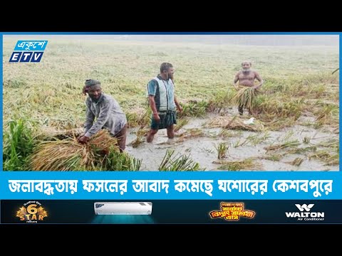 জলাবদ্ধতায় ফসলের আবাদ কমেছে যশোরের কেশবপুরে | ETV News