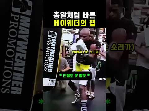 총알처럼 빠른 메이웨더의 잽 #복싱 #격투기