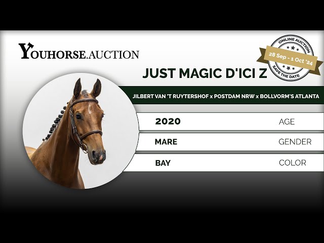 Just Magic D'Ici Z
