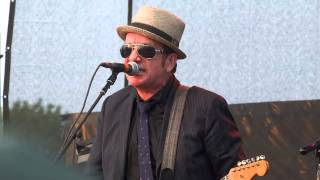 Elvis Costello at the Imposters at Riot Fest 3-3