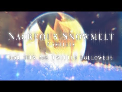 Camellia - Nacreous Snowmelt (for THX 70k Twitter Followers)