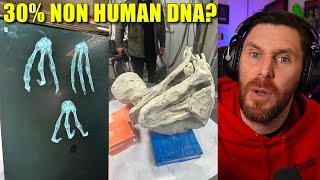 New Nazca Alien Mummy Found - This One Could Be Real