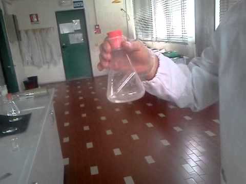 Contrattura neurogena dellarticolazione del ginocchio Castagno ricetta liquore per la ricetta congiunta