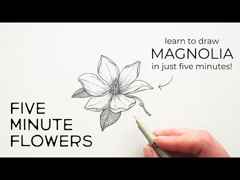 Five Minute Flowers | MAGNOLIA ✿ Learn to draw flowers in under five minutes