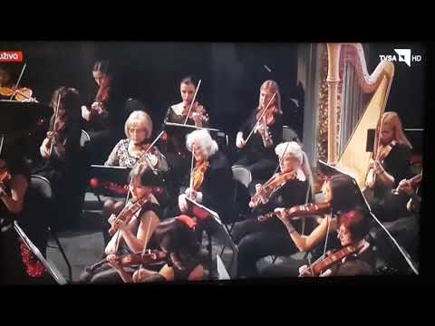 Bosnian Rhapsody, (Bosanska Rapsodija) by Dino Zonic