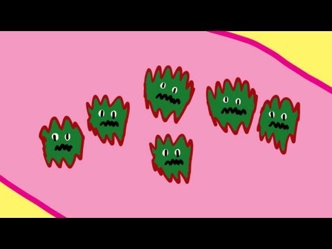 Ignaz Semmelweis - My Favourite Scientist