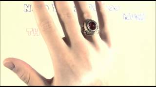 &quot;Wings&quot; - Ringo Starr - Stop Motion Music Video