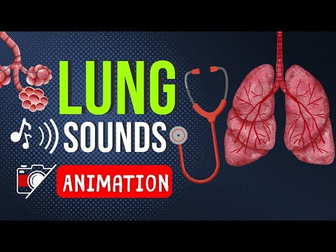 🩺 LUNG SOUNDS | NORMAL | RALES | RHONCHI
