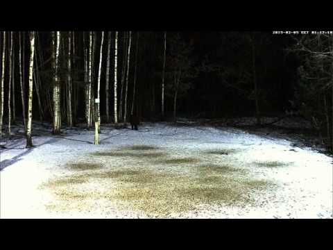 05-02-2015 01h16 Bref passage