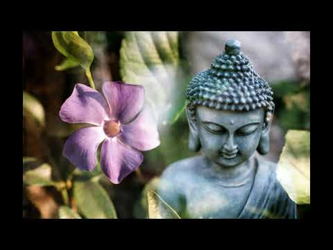 'If a Monk Should Wish' the Buddha's Original Teachings sutra 6