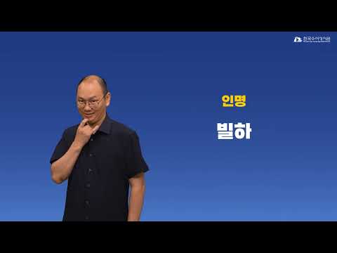 빌하 수어