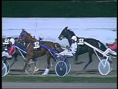 Trotto 13/11/2016 - 8ª corsa - TRIS