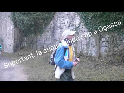 Ruta del ferro i el carbó Ogassa