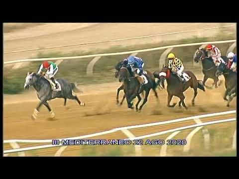 Galoppo Corse del 22 Agosto 2020