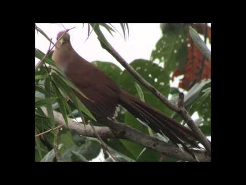 Tecnologia x conhecimento