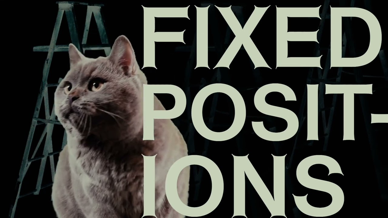 Andrew Bird - Fixed Positions