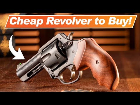 8 Best Cheap Revolvers To Buy In 2024 - Don't Choose Wrong! (I did at first)