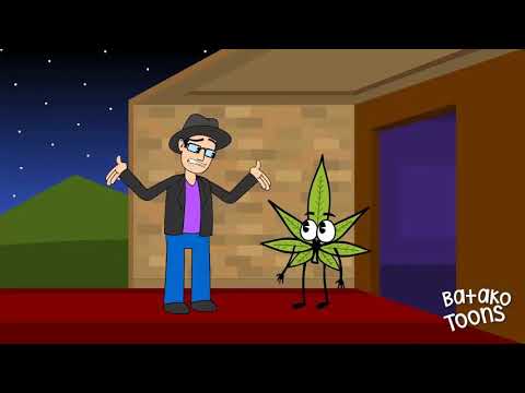 La fiesta de las frutas