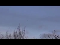 UFO YESS UFO