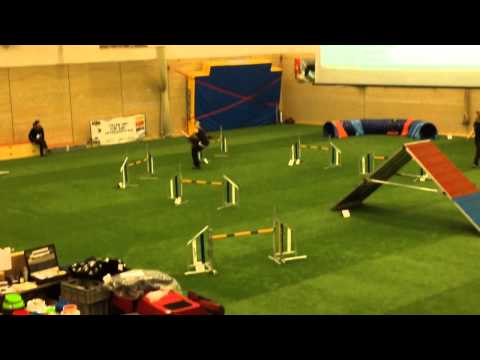 02.03.14 Arinya @ Indoor Saargility