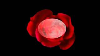 Change Themselves  first (the People&#39;s Moon Recoil remix 15 JaLe)