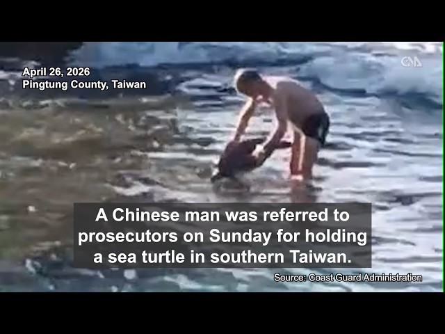 Chinese man filmed holding sea turtle on Taiwan island may face fine