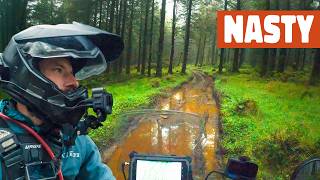 I HAVE to get my Motorcycle Out of this IRISH Forest 🇮🇪 | Ep 71