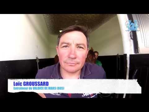 A2TURF - LOIC GROUSSARD - VALDICE DE MARS (805) lundi à Vincennes