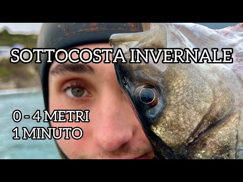 SUB FISHING | WINTER Coastal Fishing