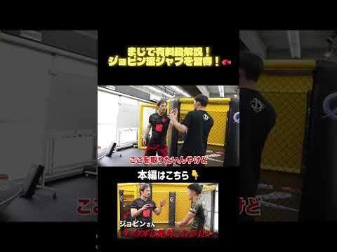 有料級解説！ジョビン流ジャブを習得🥊 #柔術 #鹿志村仁之介 #ジョビン