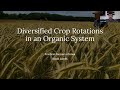 Diversified Crop Rotations in an Organic System - Farminar